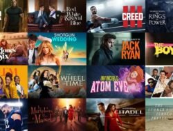 Amazon Whole Foods Subscription Unlocks Premium Quality