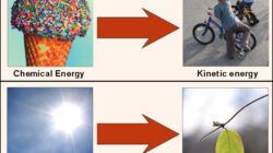 energy drink supplement facts Your Ultimate Guide