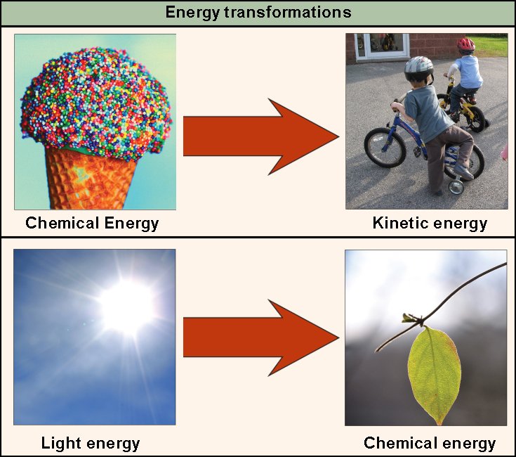 Introduction to Thermodynamics | Boundless Chemistry