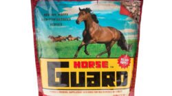 Starting Gate Horse Supplement For Peak Performance