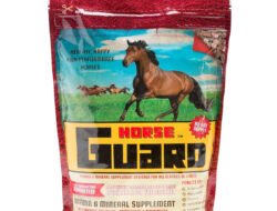 Starting Gate Horse Supplement For Peak Performance