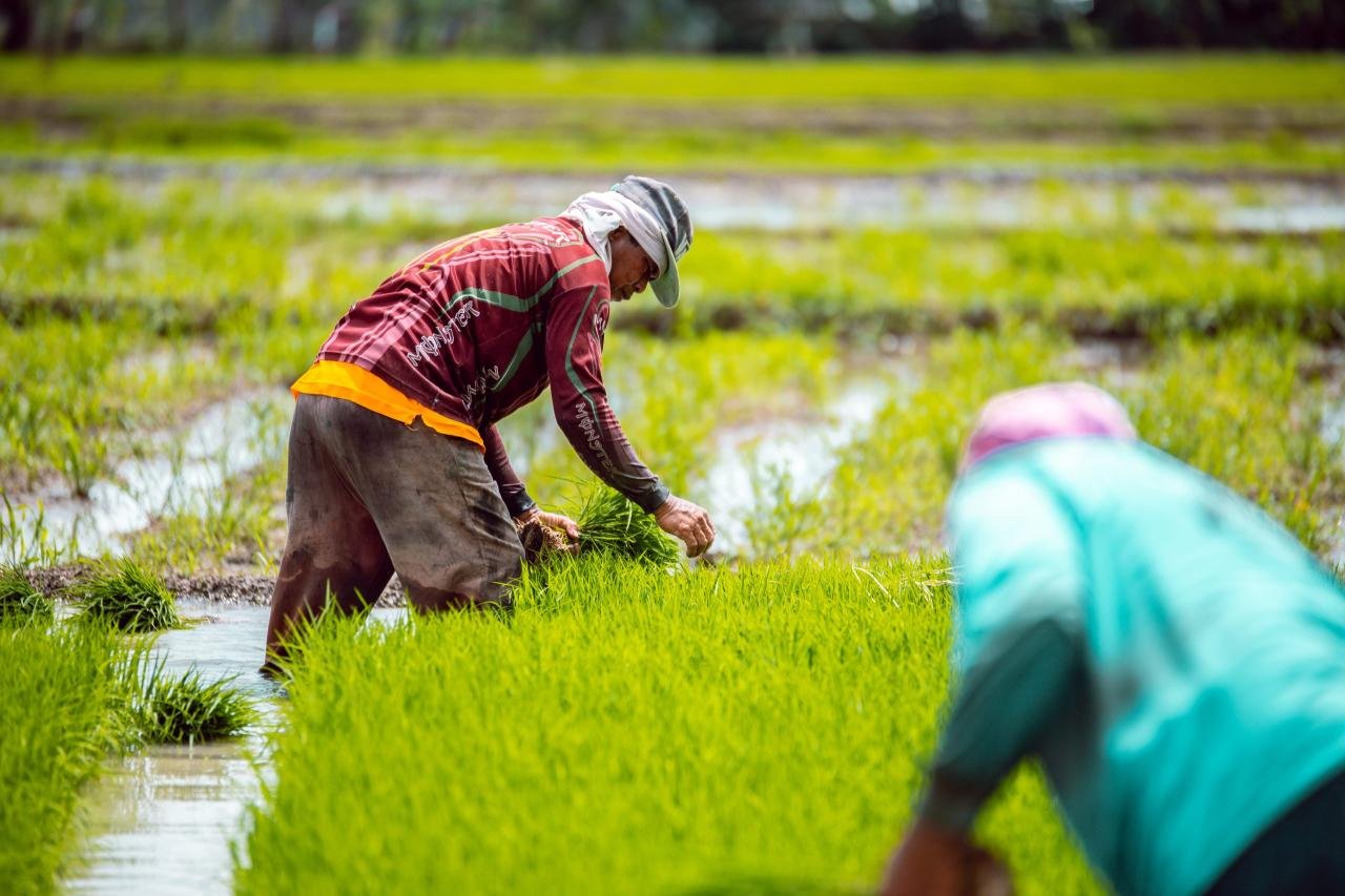India Set to Facilitate Climate-Resilient Agriculture Practices India Set to Facilitate Climate-Resilient Agriculture Practices