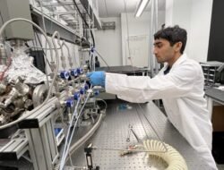 Chapman Supplemental Essays Unlock Your Potential