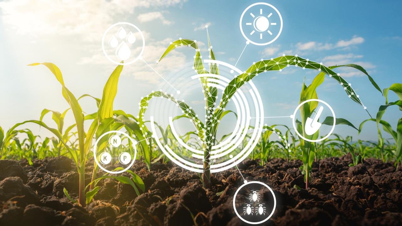 Tarfin uses technology to enhance the agricultural ecosystem and create ... Tarfin uses technology to enhance the agricultural ecosystem and create ...