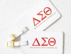 Delta Platinum Bag Tag Elevating Travel Style