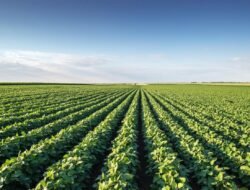 agriculture and food canada Unlocking Sustainable Growth