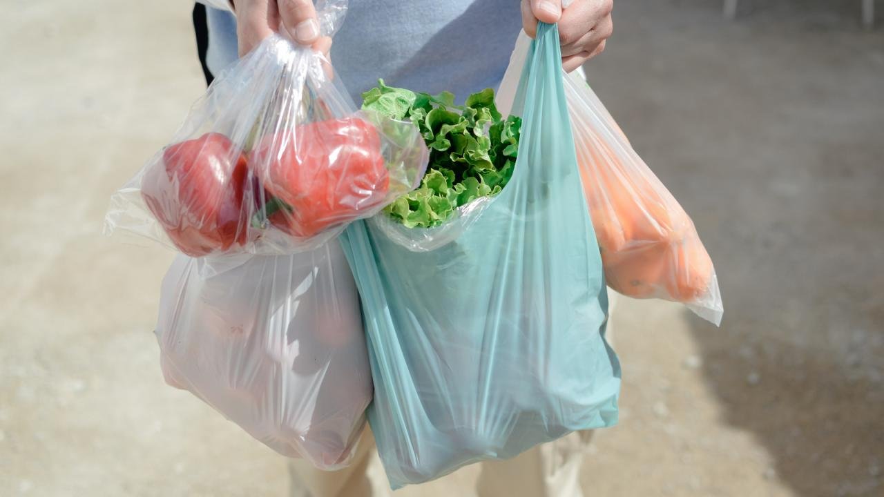 Why You Should Stop Using Plastic Bags Immediately Why You Should Stop Using Plastic Bags Immediately