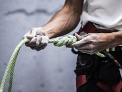 supplement spot Elevate Your Translation Experience