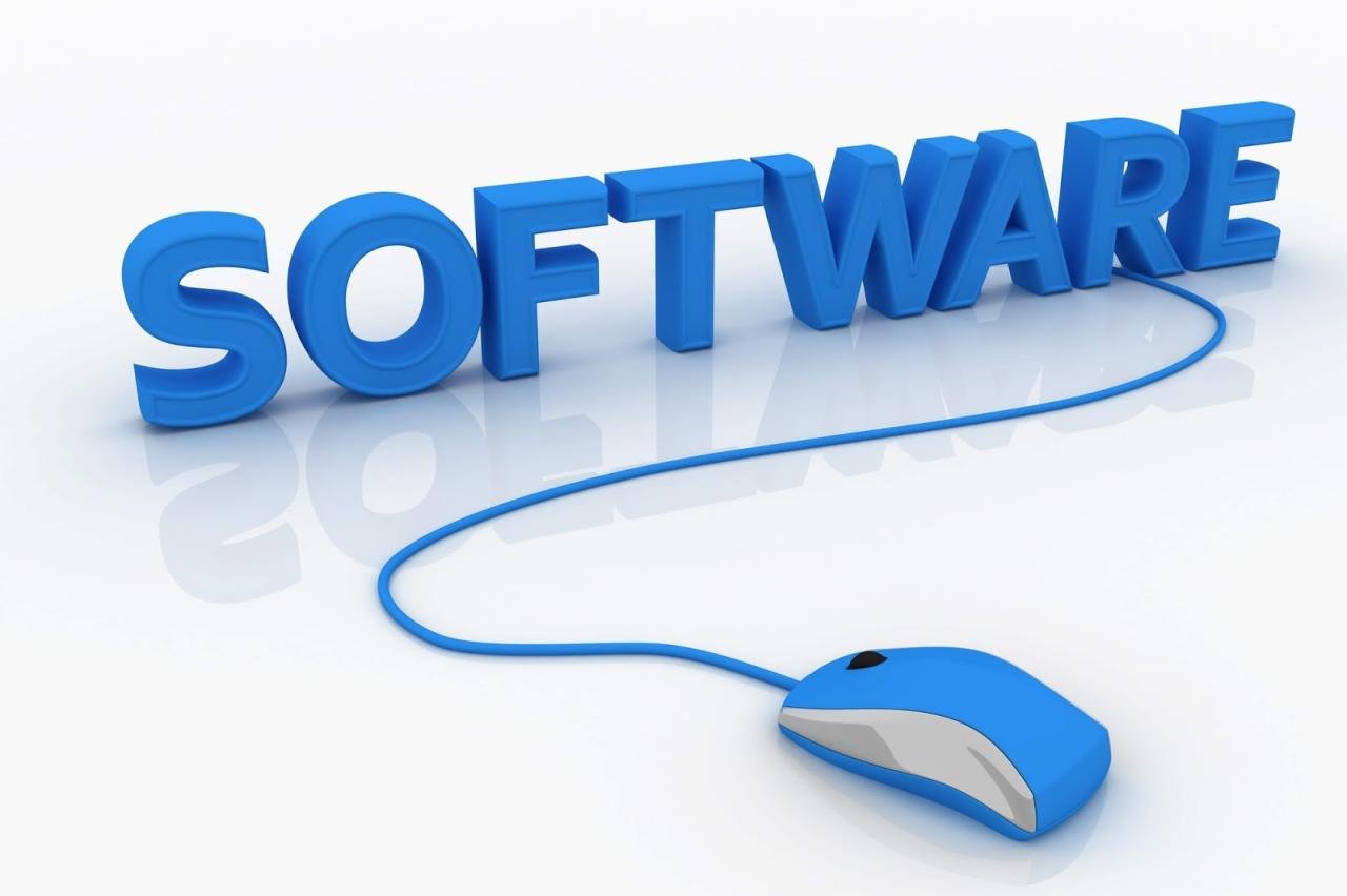 Information System: Software system